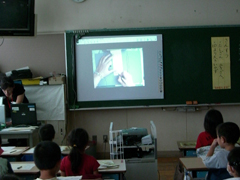 お手紙メモの書き方の説明