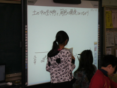 児童たちが生態系の図を書き込んでいる場面