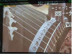 箏を弾く手元を大きく映し出している。