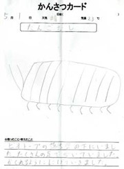 かんさつカード